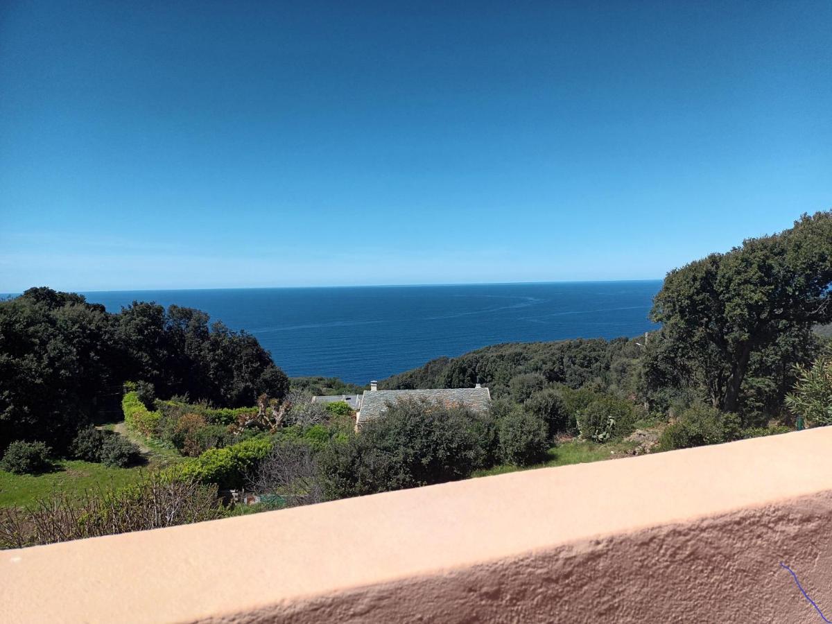 Vila Azureo - Terrasse Du Golfe Morsiglia Exteriér fotografie